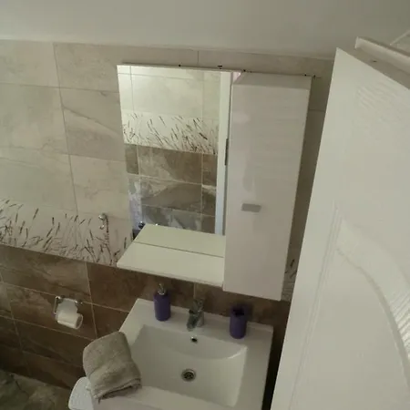 Apartment Vicko *
